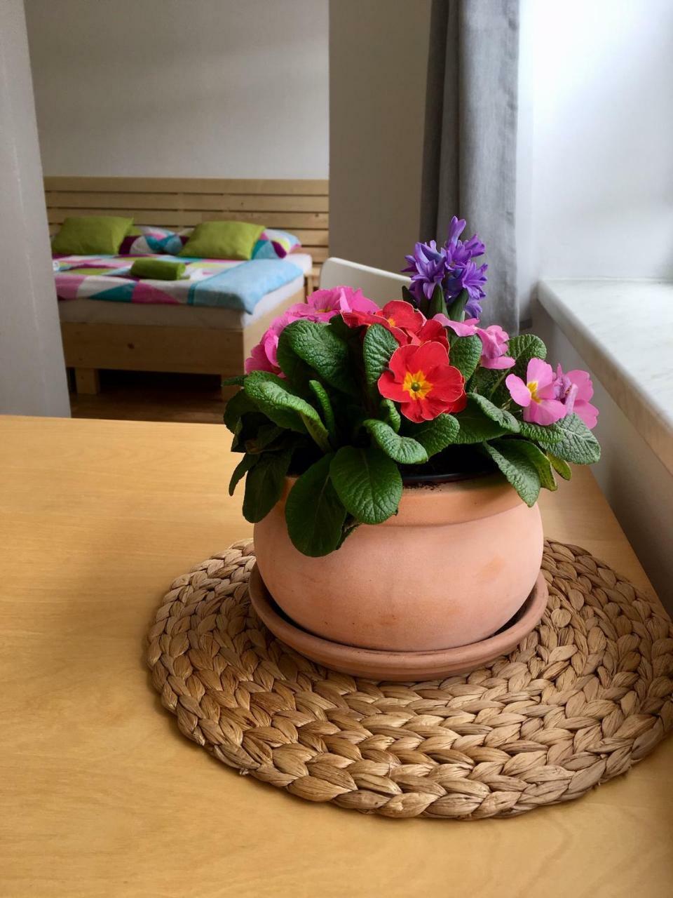 Apartmany A Ubytovani Mlynice Litovel Buitenkant foto